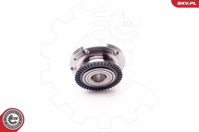 Wheel Bearing Kit 29SKV069