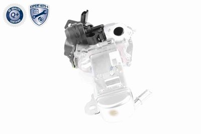 AGR-VENTIL VEMO V22630004 4