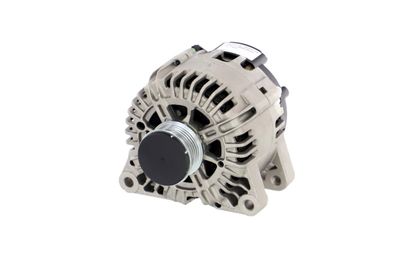 GENERATOR / ALTERNATOR REMANTE 011003000008R 61