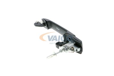 TüRGRIFF VAICO V106124 45