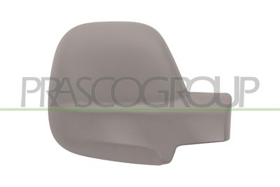 ACOPERIRE OGLINDA EXTERIOARA