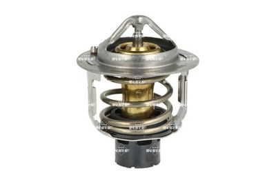 TERMOSTAT LICHID RACIRE NRF 725451 3