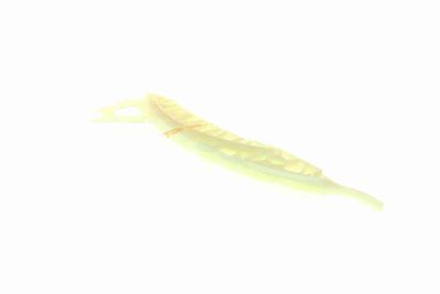 GHIDAJE LANT DISTRIBUTIE VAICO V203144 6