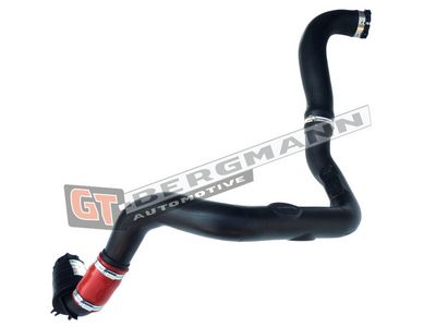 GT-BERGMANN Automotive - Hadica plniaceho vzduchu (hadica turba) NISSAN , GT52-260