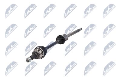 PLANETARA NTY NPWLR031 18