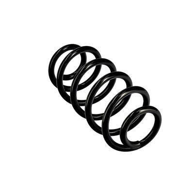 ARC SPIRAL EIBACH R10135 11