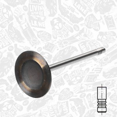 SUPAPA ADMISIE ET ENGINETEAM VI0067 1