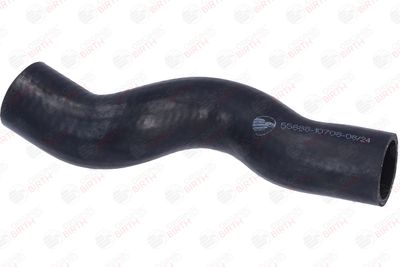 FURTUN EAR SUPRAALIMENTARE BIRTH 55888 12
