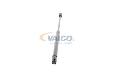 GASFEDER KOFFER-/LADERAUM VAICO V102081 50