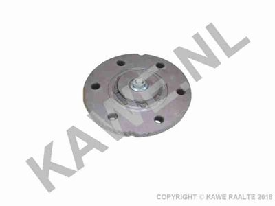 AMORTIZOR TORSIUNE AMBREIAJ