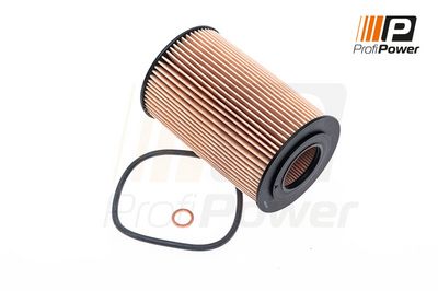 alyvos filtras 1F0095 ProfiPower