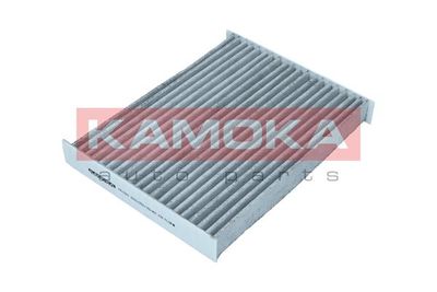 Filter, cabin air F517901