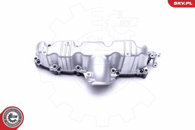 Intake Manifold Module 49SKV006