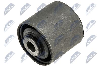 Mounting, control/trailing arm