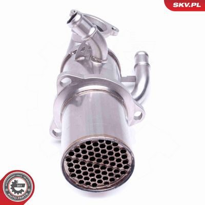 SUPAPA EGR ESEN SKV 14SKV222 4