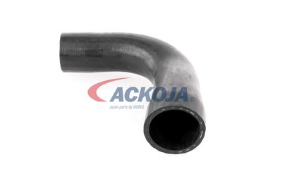 FURTUN EAR SUPRAALIMENTARE ACKOJA A389600 19