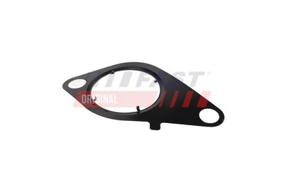 GARNITURA VENTIL AGR FAST FT13434 20