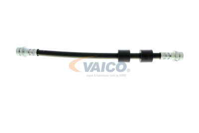 FURTUN FRANA VAICO V251328 35