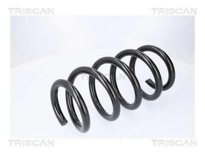 ARC SPIRAL TRISCAN 87508111 1