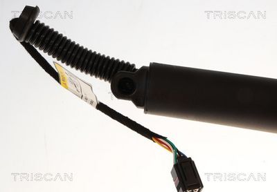 Gasfjeder, kuffert-/lastrum TRISCAN 8710 29339
