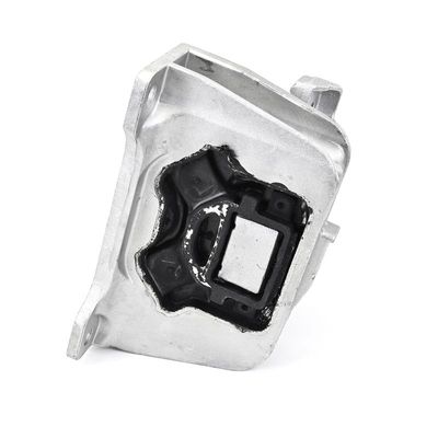 LAGERUNG MOTOR DELPHI TEM293 21