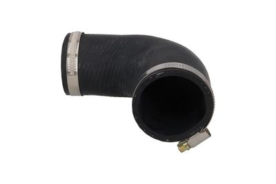 FURTUN EAR SUPRAALIMENTARE