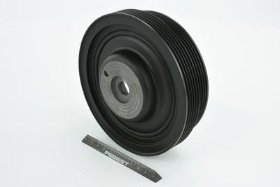 FULIE CUREA ARBORE COTIT FEBEST MDSCS4G15 8