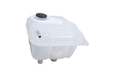 VAS DE EXPANSIUNE RACIRE