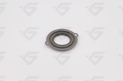 WELLENDICHTRING AUTOMATIKGETRIEBE HUTCHINSON 702756 2