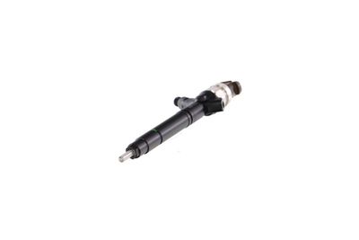 INJECTOR REMANTE 002003002039R 60