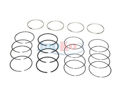 SEGMENT PISTON