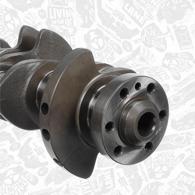 ARBORE COTIT ET ENGINETEAM HK0230 4