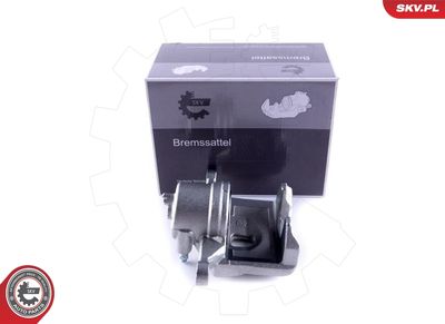 Brake Caliper 55SKV271