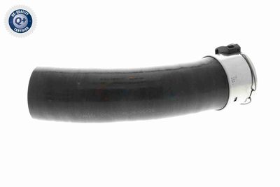 LADELUFTSCHLAUCH VAICO V461198 5