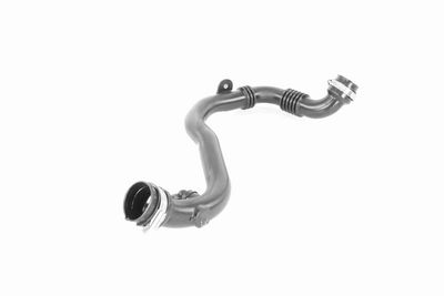 LADELUFTSCHLAUCH VAICO V461625 9