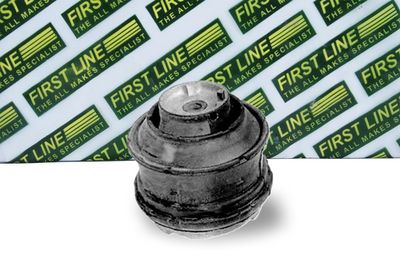 окачване, двигател FIRST LINE FEM3282