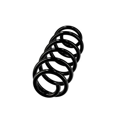 ARC SPIRAL EIBACH R10711 2
