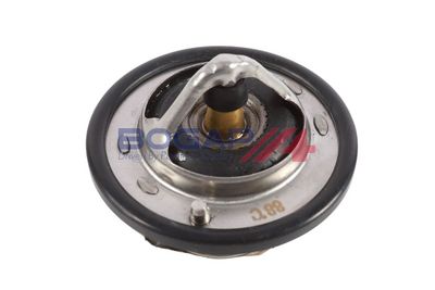 TERMOSTAT LICHID RACIRE