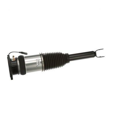 LUFTFEDERBEIN Arnott AS2968 75