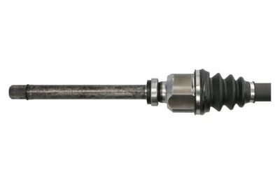 Drivaxel PASCAL G2C166PC för CITROËN