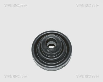 Комплект пыльника, приводной вал TRISCAN 8540 15908 для FIAT DUNA