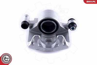 Brake Caliper 55SKV292