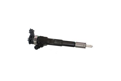 INJECTOR REMANTE 002003001494R 47
