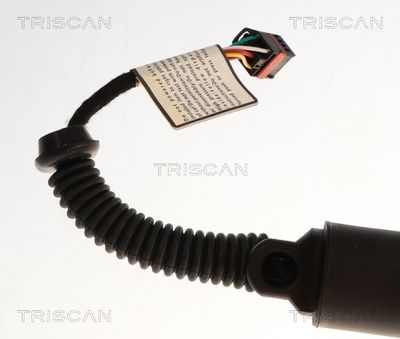 Kaasujousi, tavaratila TRISCAN 8710 43319