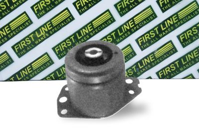 окачване, двигател FIRST LINE FEM3085