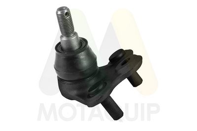 ARTICULATIE SARCINA/GHIDARE