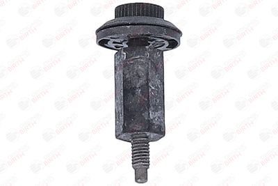 LIMITATOR ACOPERIRE MOTOR BIRTH 80969 4