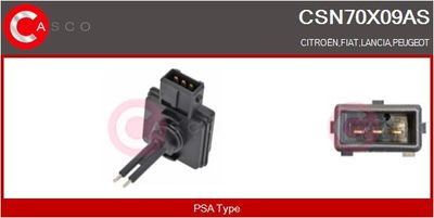 SENZOR NIVEL LICHID DE RACIRE