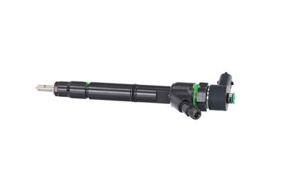INJECTOR REMANTE 002003001691R 13