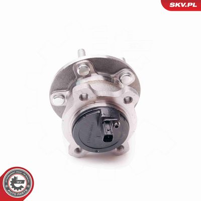 SET RULMENT ROATA ESEN SKV 29SKV050 2